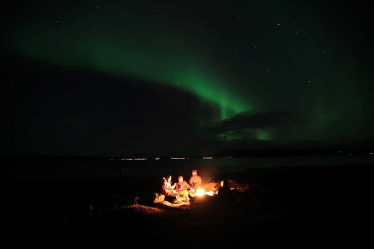 Tromsø: Small Group Northern Lights Hunt - Who Should Book This Tour?