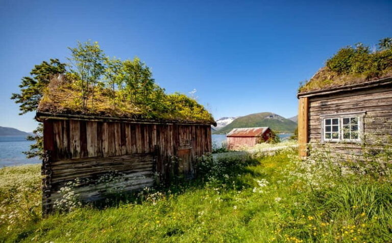 Tromsø: Summer Fjord Road Trip with Citizen Science - What We Loved About This Tour