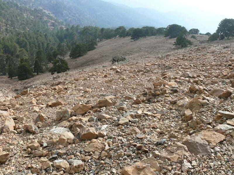 Troodos walking trip - Who Should Consider This Tour?