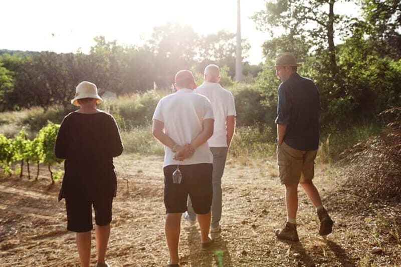Truffle Hunting in Provence - The Experience in Detail