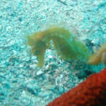 Tucepi: Snorkeling Boat Tour at the Makarska Riviera - What’s Included and What’s Not?