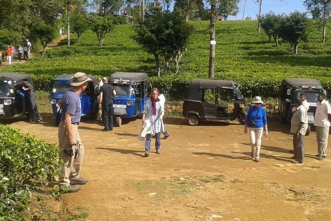 Tuk Tuk safari and Picnic in The Tea Plantation from Ella,Haputale & Bandarawela - Key Points