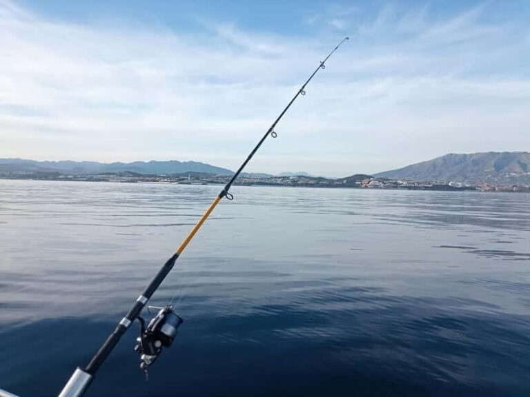 TUNA FISHING TRIPS IN FUENGIROLA - Practical Details and Value