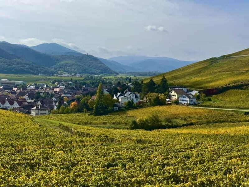 Turckheim: the town where the dragon sleeps, walking tour - The Practicalities