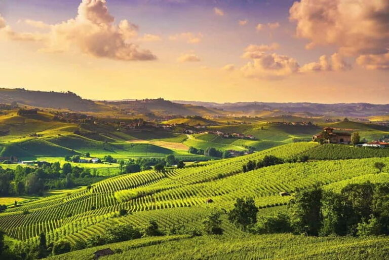 Turin: Langhe Wine Tour with Private Transfers and Lunch - Practical Insights on the Tour