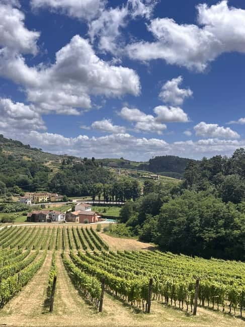 Tuscan Wine Tour by van from Pisa - Why This Tour Stands Out