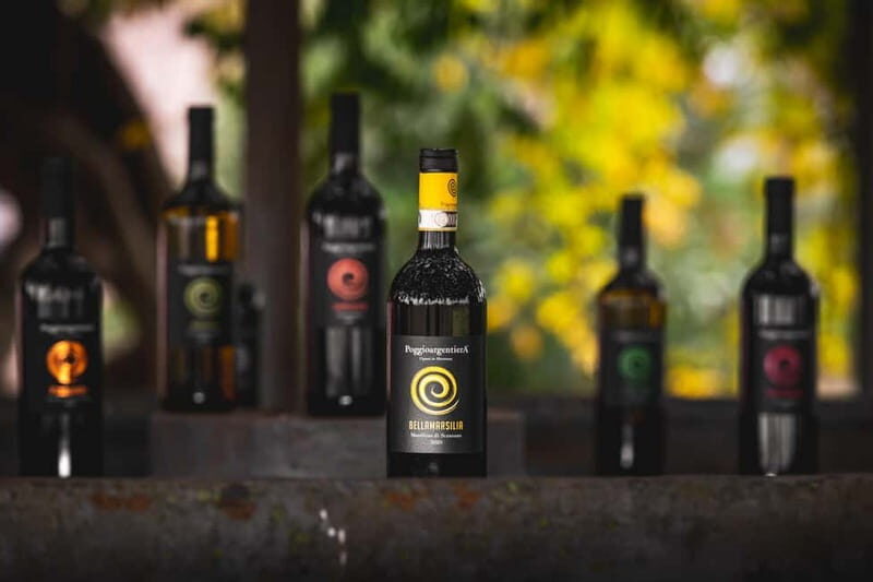 Tuscany: Wine Tasting Experience - The Experience: From Vines to Glass