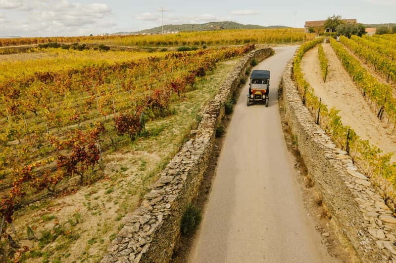 Two days to visit Fall Foliage in Douro Valley - Transport, Accommodation, and Overall Value