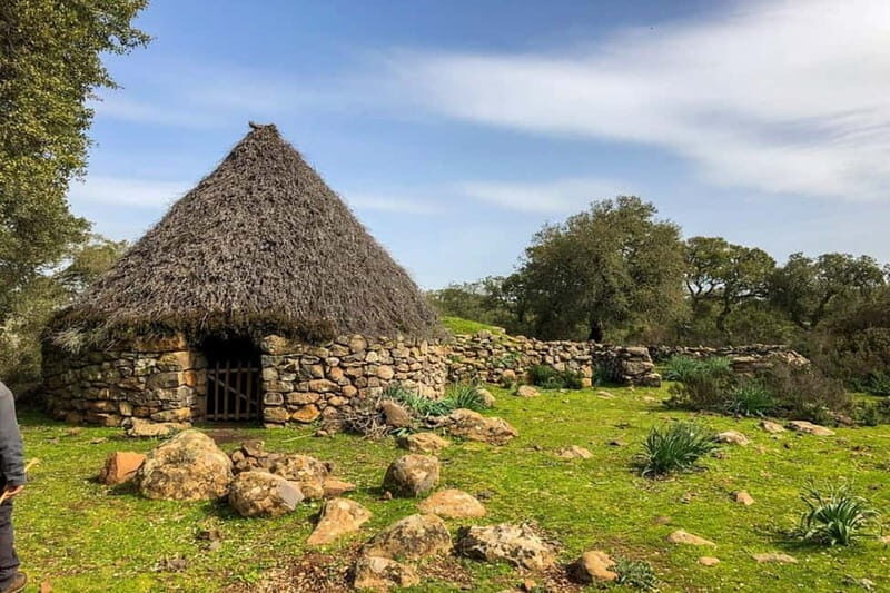 Typical Sardinian Meal in the Shepherds House in Nuoro - Practical Details: What to Know Before You Go