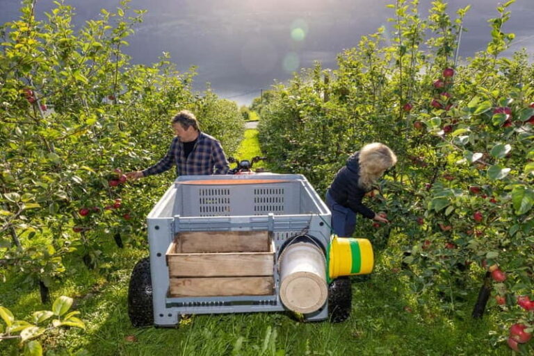 Tyssedal: Cider Tasting Tour - Final Thoughts: Who Will Enjoy This Tour?