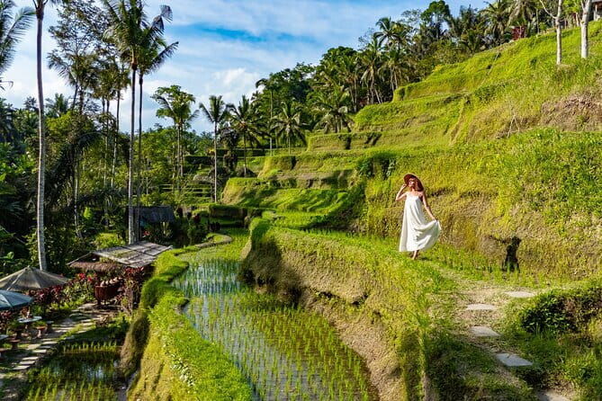 Ubud All-Inclusive Tour with Swing and Lunch - Key Points