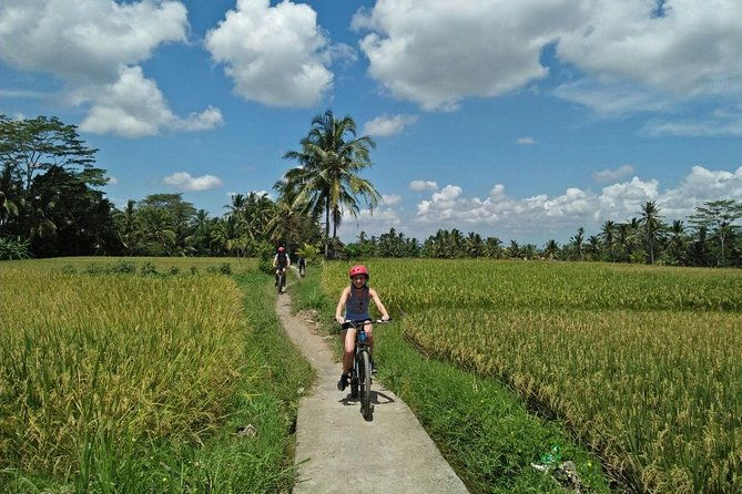 Ubud Eco Culture Cycling Exploration - What to Expect from the Itinerary