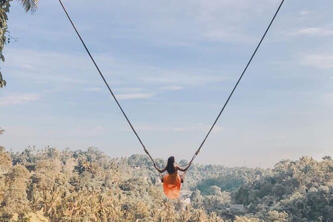 Ubud Full Day - Monkey Forest, Temple and Waterfalls Tour - Key Points