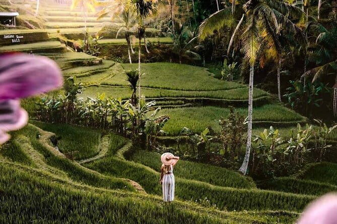 Ubud Highlights -Private Tour,Temples, Waterfalls & Rice terraces - Introduction: Why This Tour Might Be Your Perfect Bali Day
