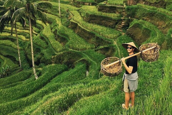 Ubud Jungle Swing - Monkey Forest - Water Temple - Waterfall - Key Points