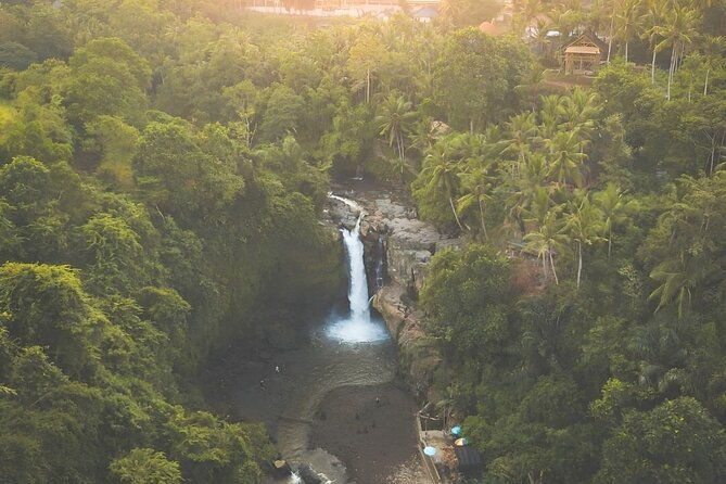 Ubud Tour with Jungle Swing and Waterfall Water Temple - The Itinerary: What to Expect and Why It Matters