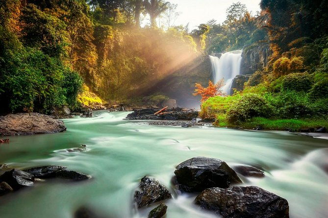 Ubud Village Sightseeing, Famous Paddy Field And Ubud Waterfall - In-Depth Look at the Itinerary