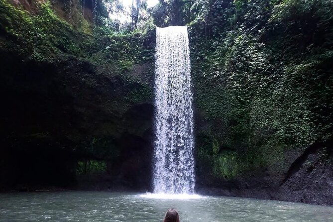 Ubud Waterfalls, Rice Terrace & Jungle Swing - Private Tour - Ubud Waterfalls, Rice Terrace & Jungle Swing - Private Tour: A Comprehensive Review