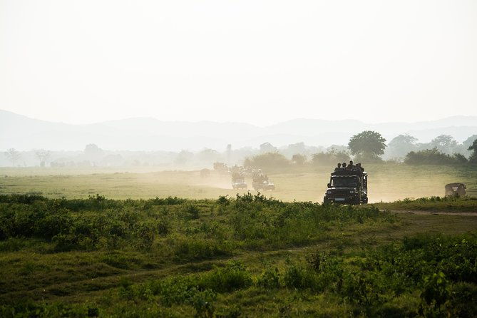 UDAWALAWA National Park ALL INCLUSIVE Tour with PICK UP INCLUDED - Key Points