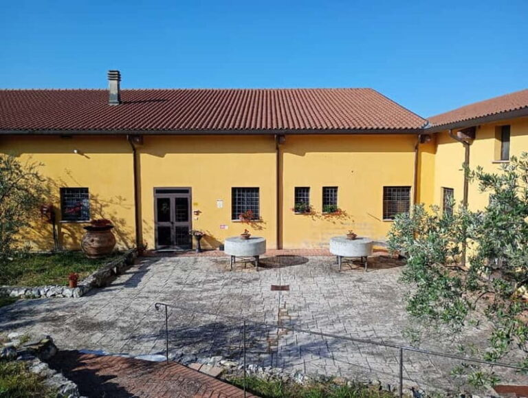 Umbria: guided tour to traditional oil mill + tasting - Practical Tips for Visitors