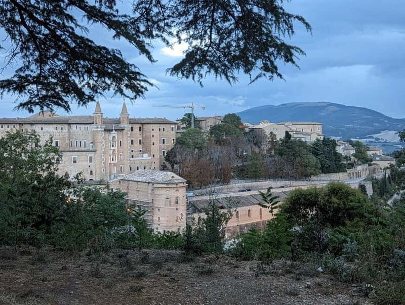 Urbino: Ducal Palace Guided Tour - Why This Tour Offers Excellent Value
