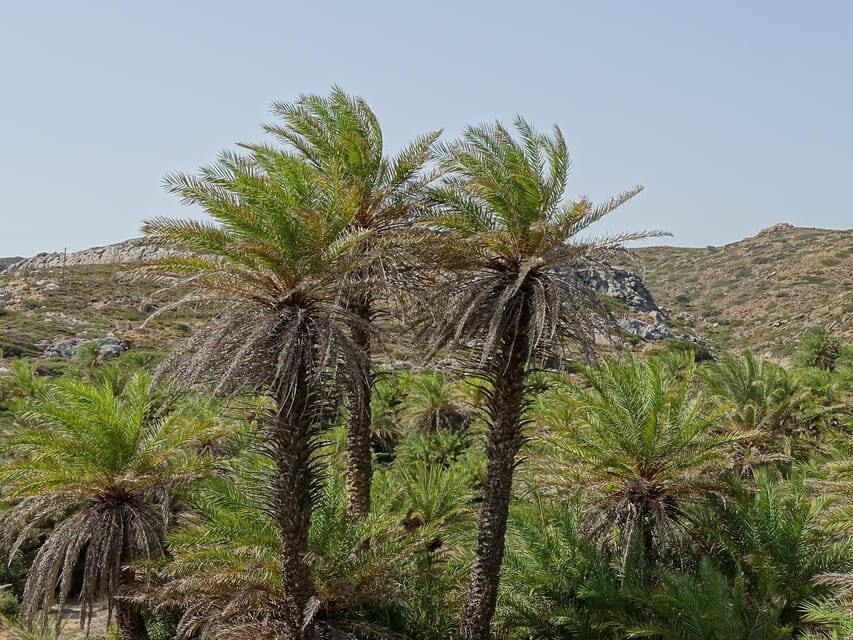 Vai Palm Beach Full Day Private Tour