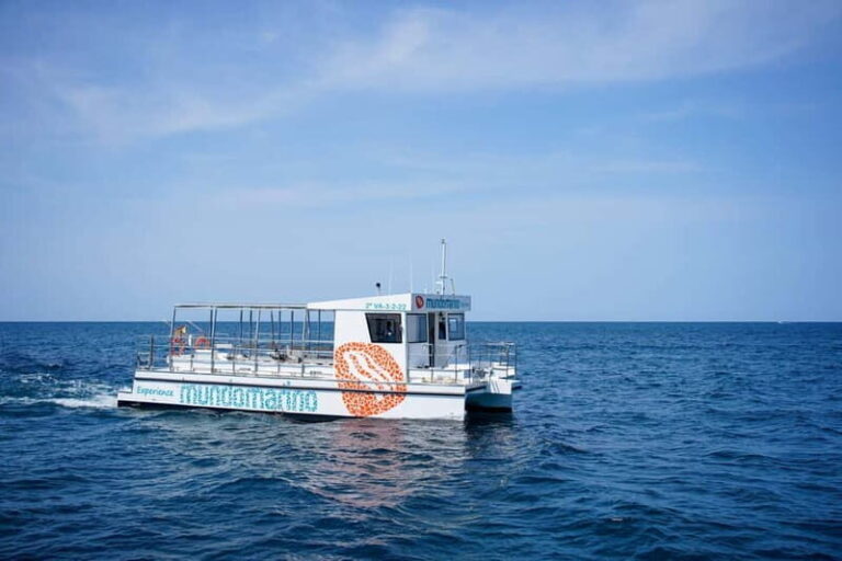 Valencia: Boat Tour with Swim Stop - The Authentic Experience from Reviews