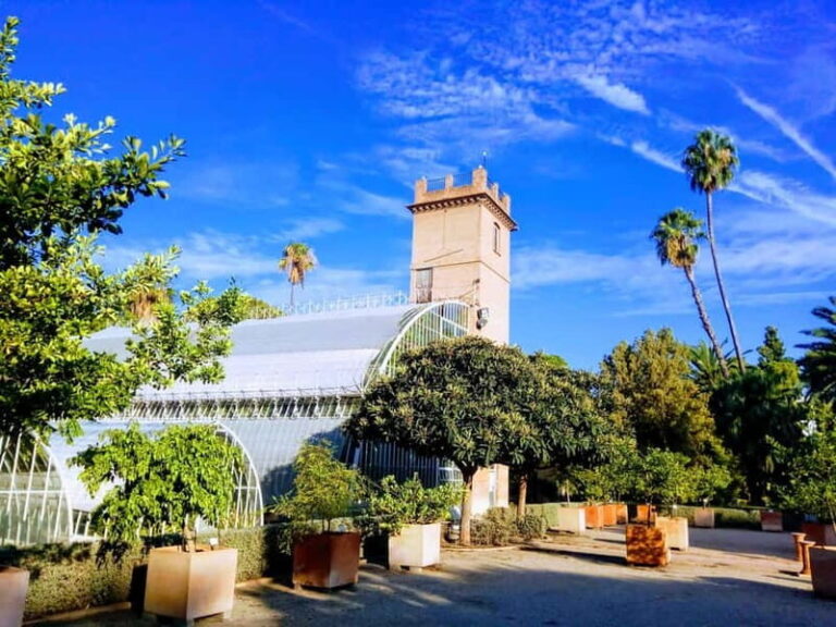 Valencia Botanical Garden Guided Tour - A Deep Dive into the Valencia Botanical Garden Guided Tour