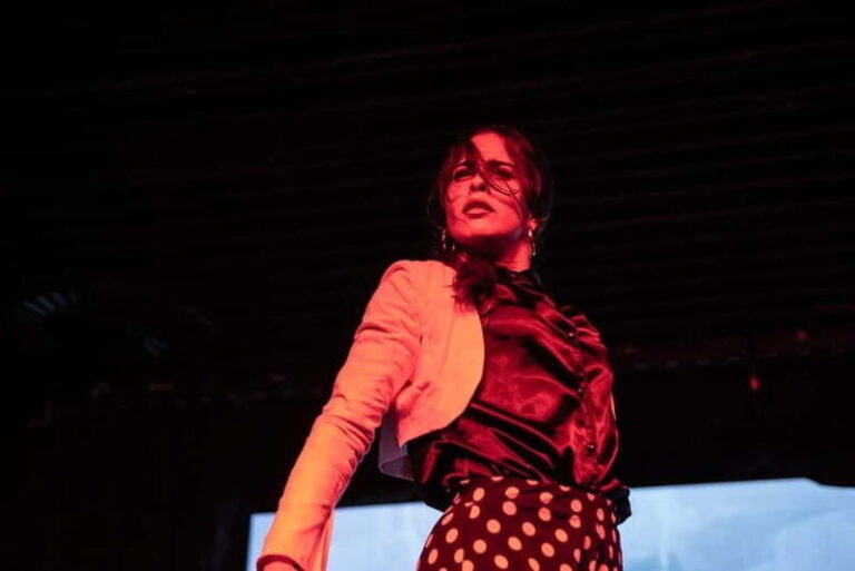 Valencia: Flamenco Show at La Reina - What to Expect from the Flamenco Show