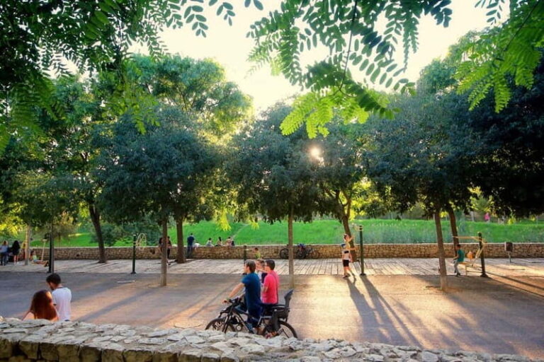 Valencia Parks: Private Tour on Bicycle, E-Bike or E-Step - Who Will Love This Tour?