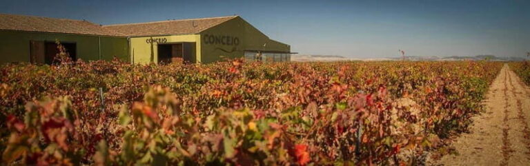 Valladolid: Concejo Bodegas - Why This Tour Works Well for Travelers