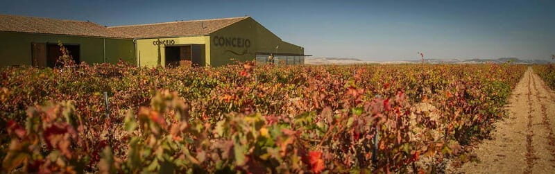 Valladolid: Concejo Bodegas - Why This Tour Works Well for Travelers
