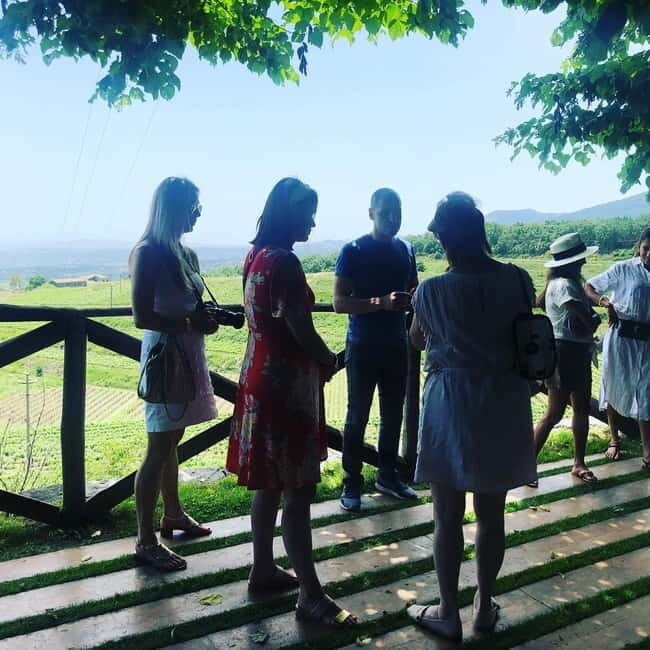 Valpolicella: Guided Wine Tour with Tastings of Local Wines - An In-Depth Look at the Valpolicella Wine Tour