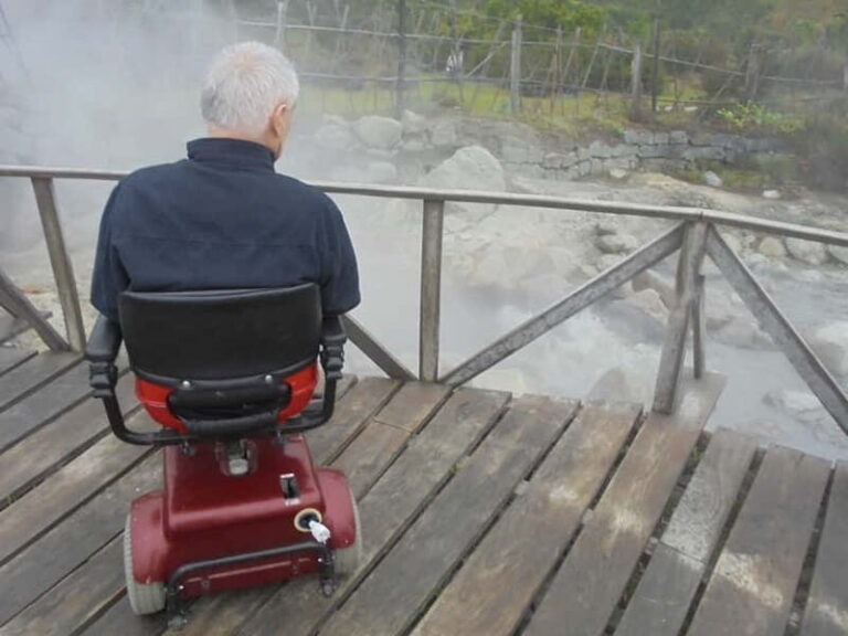 Van Tour Furnas (Full Day) - A Detailed Look at the São Miguel Van Tour