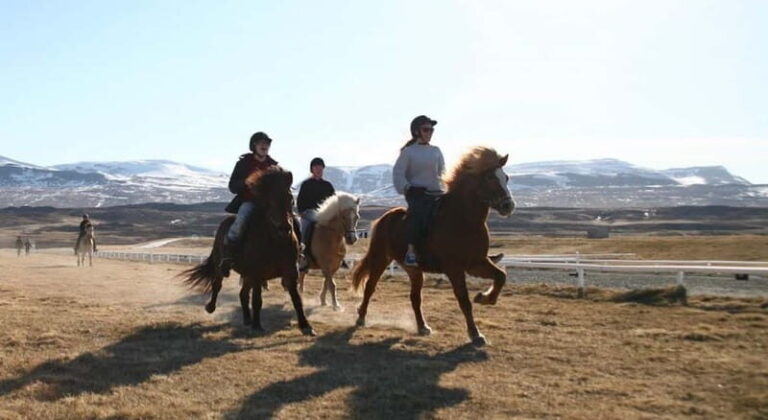 Varmahlid: 1-Hour Icelandic Horse Riding Tour - Is It Worth the Price?