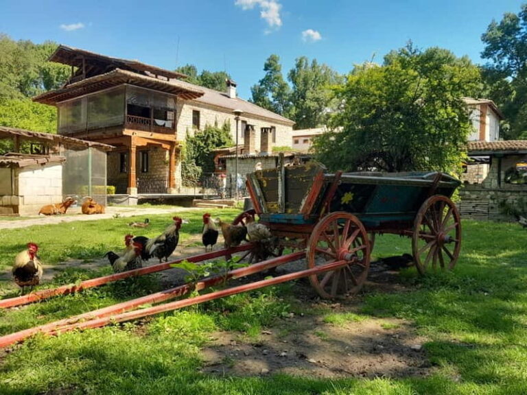 Varna: Guided VIP Tour - The Itinerary: A Closer Look