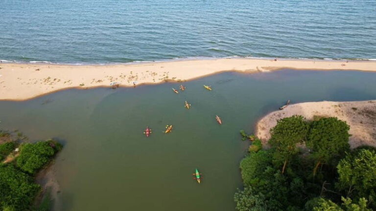Varna: Kamchia River Kayaking Day Tour - What to Expect from Your Kamchia Kayaking Tour