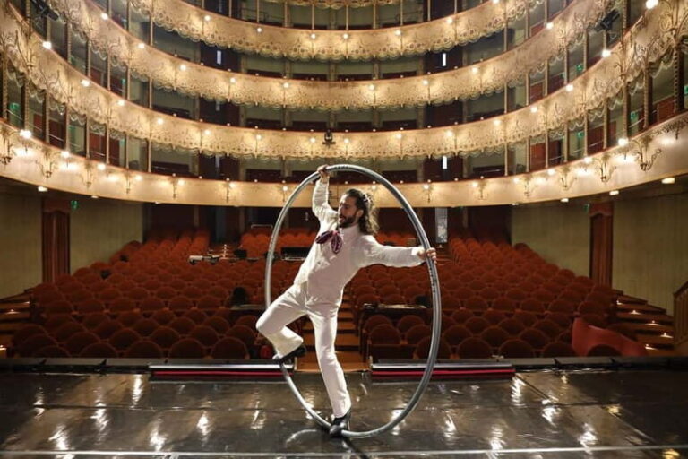 Venice: "Titizé - A Venetian Dream" Show Ticket - The Sum Up: Who will love this show?