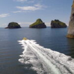 Vestmannaeyjar: 2 hour RIB boat Tour - Who Will Love This Tour?