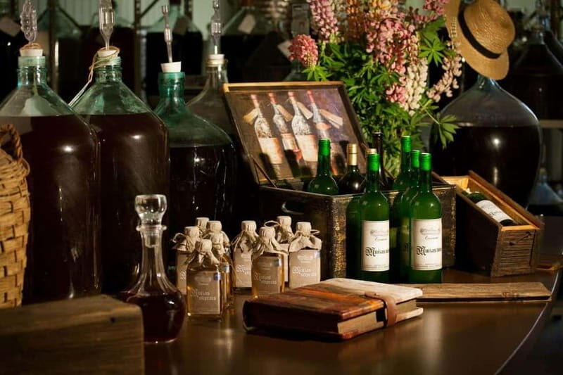 Vidzeme wine tasting tour - Why This Tour Works Well