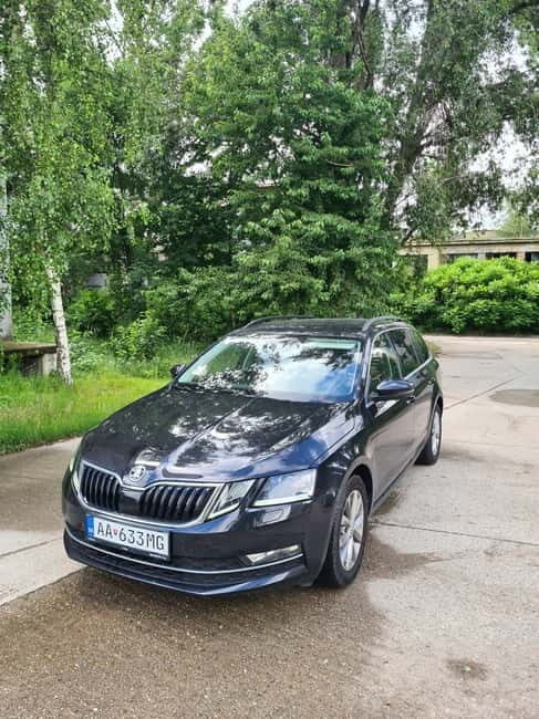 Vienna daytrip: Private transfer from Budapest and back - Experience Breakdown: What’s Included and How It Works