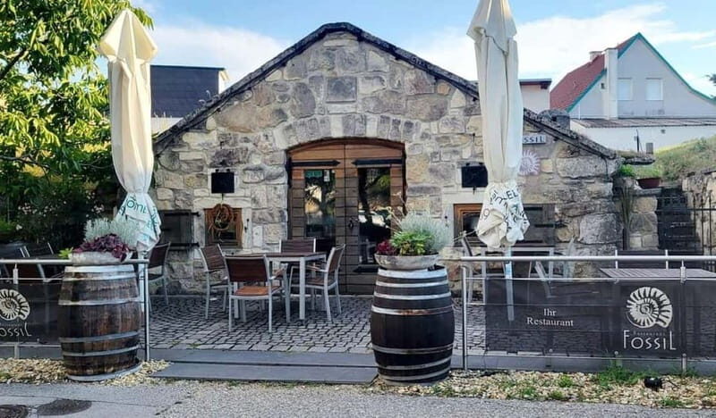 Vienna: Private tour Lake Neusiedl, Rust (wine tasting) Purbach - The Experience in Detail: What You Can Expect
