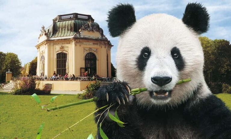 Vienna: Skip-the-line Tickets for Schönbrunn Zoo - The Animal Collection: From Giraffes to Pandas