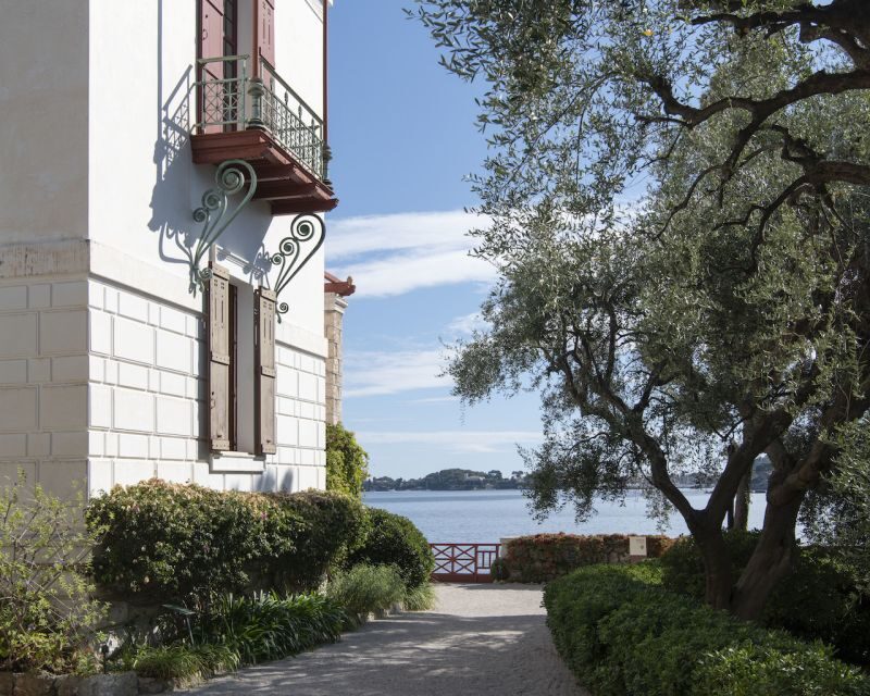 Villa Kerylos Entry Ticket - Why the Name Kérylos?