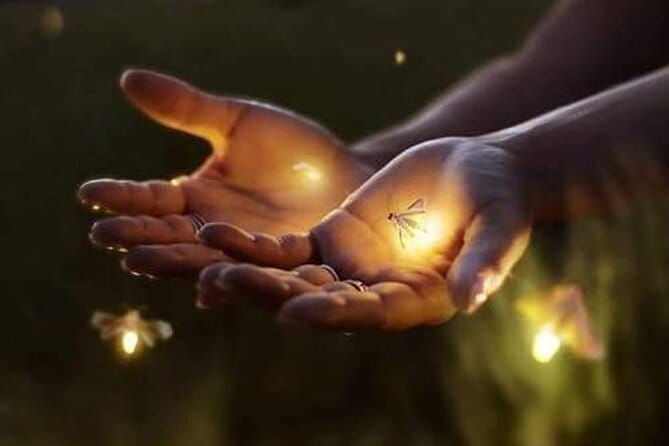 VIllage Firefly Night Tour - Ubud Bali - An Authentic Night in Ubud: The Village Firefly Night Tour
