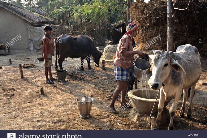 Village Tour - An In-Depth Look at the Village Tour