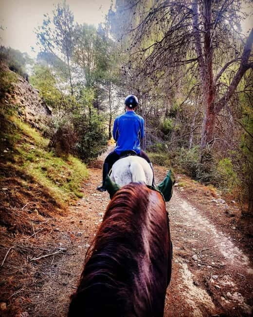 Villajoyosa: Horseback Riding in the Mountains - What the Ride Looks Like