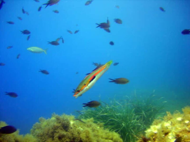 Villefranche-sur-Mer: Experience an introduction to scuba diving - The Itinerary Breakdown