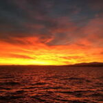 Villefranche-Sur-Mer: Sunset boat tour - Final Thoughts