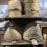 Vilnius to Aukstaitija National Park: Full-Day Tour - What’s Included and What’s Not